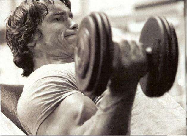 Arnold