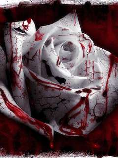 Blood on 