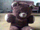 Teddy