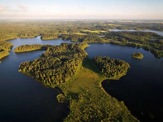 Plateliai