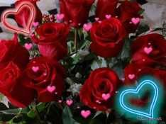 love218