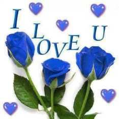 love225