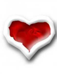 love214