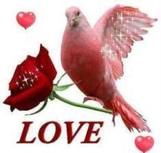 love220