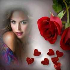 love221