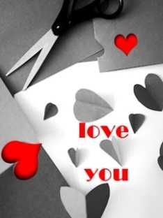 love215