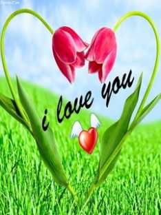 love211