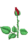 Just 4 u