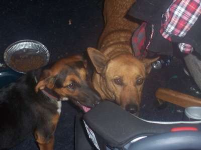 my two ne