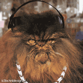-gangsta Cat-