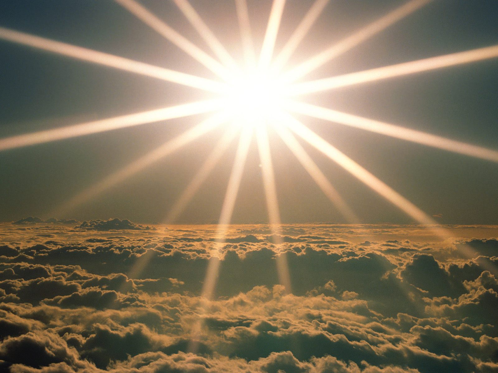 THE LIGHT