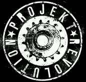 Projekt R