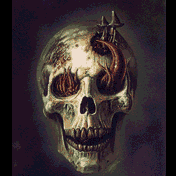 Skull