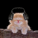 Members uploads