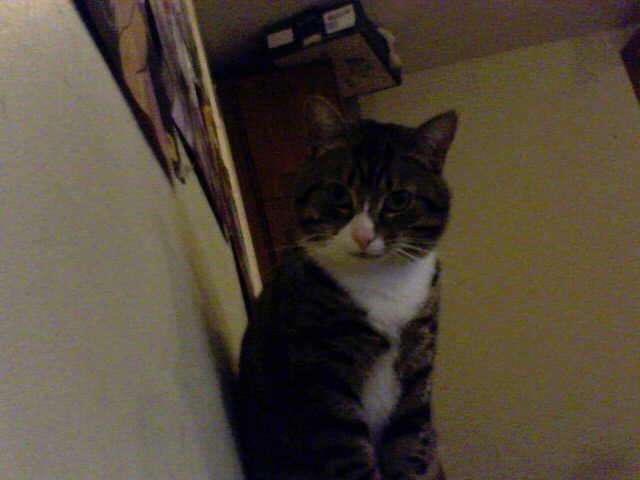 Oscar