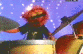AnimalDrumr