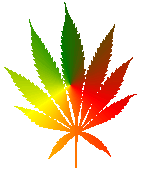 JAMAICA