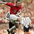 Wayne roo