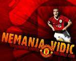 Vidic wal