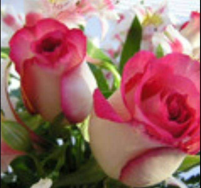 Flower191