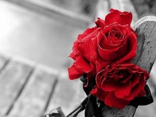 Flower199