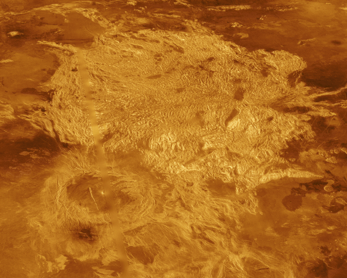 Venus 1 alpha