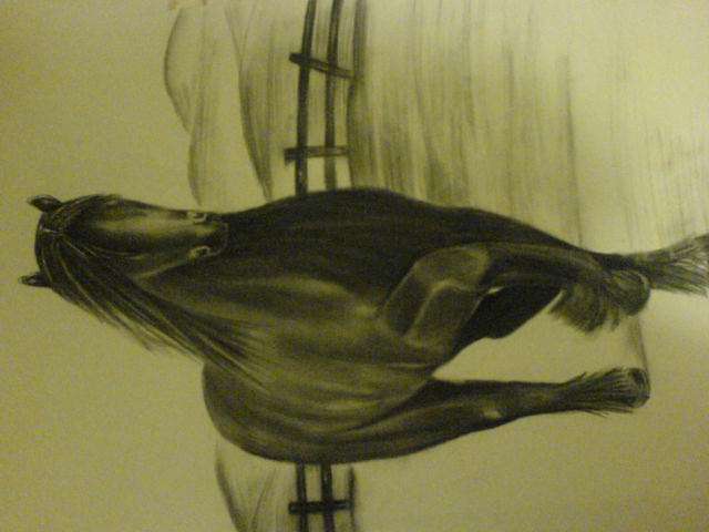 Charcoal 