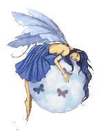 fairy2