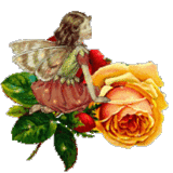 fairy9