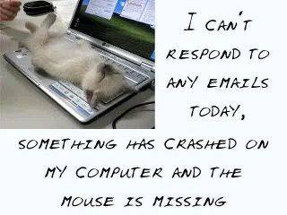 email