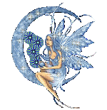 fairy11