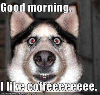 morning