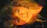 Me lol