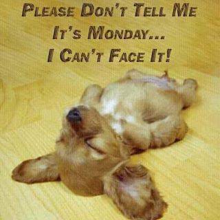 monday