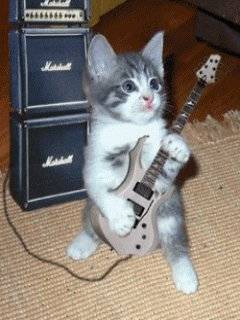 rock