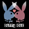 Bunny love