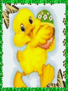 Easter chick