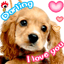 Cute Dog
