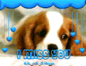 Mis u