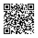 Yoshi QR 1