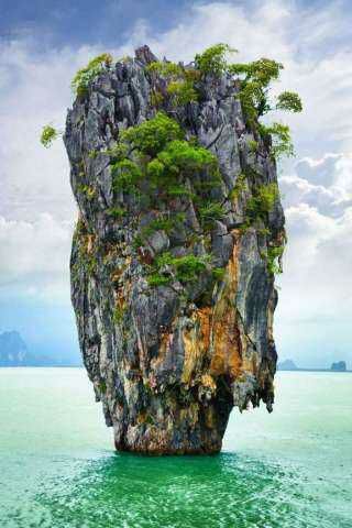 Amazing Nature