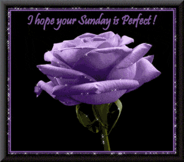 I hope ur sunday is perfect