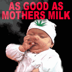 mokin baby