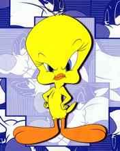 Tweety pi