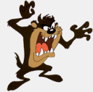 Taz