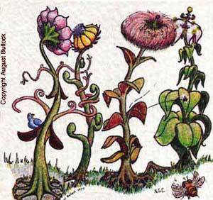 s*x Flowe