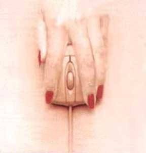 The Mouse