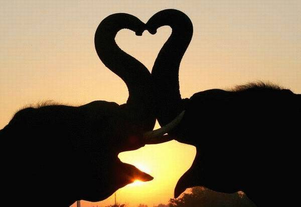 I Love Yo