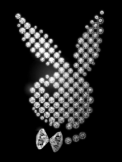 PlayBoy