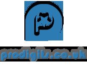 Prodigits Logo